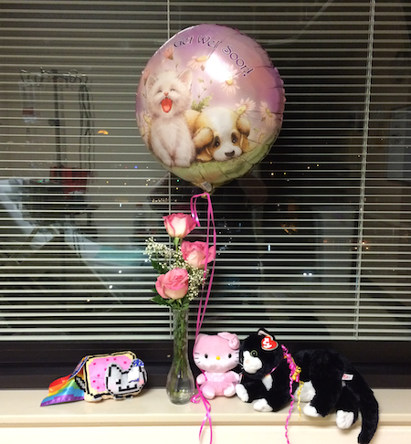 Photo in hospital of get well balloon, flowers, and stuffed animals.
