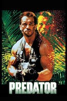 Predator poster